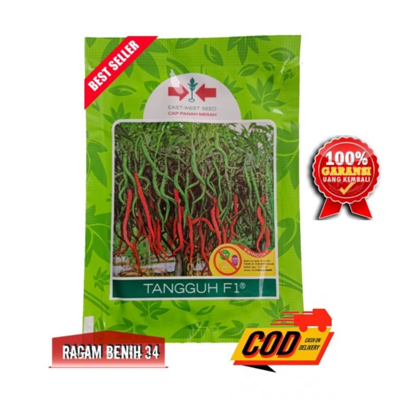 Benih Cabe Tangguh F1 2000 Butir - Cap Panah Merah