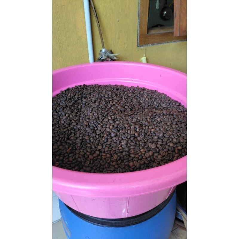 

Roasbean Robusta Polaman Dampit