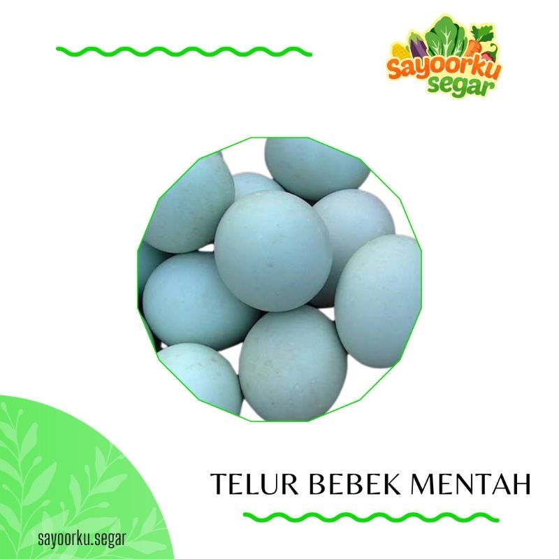 

KIRIM BESOK Telur bebek mentah 6 butir