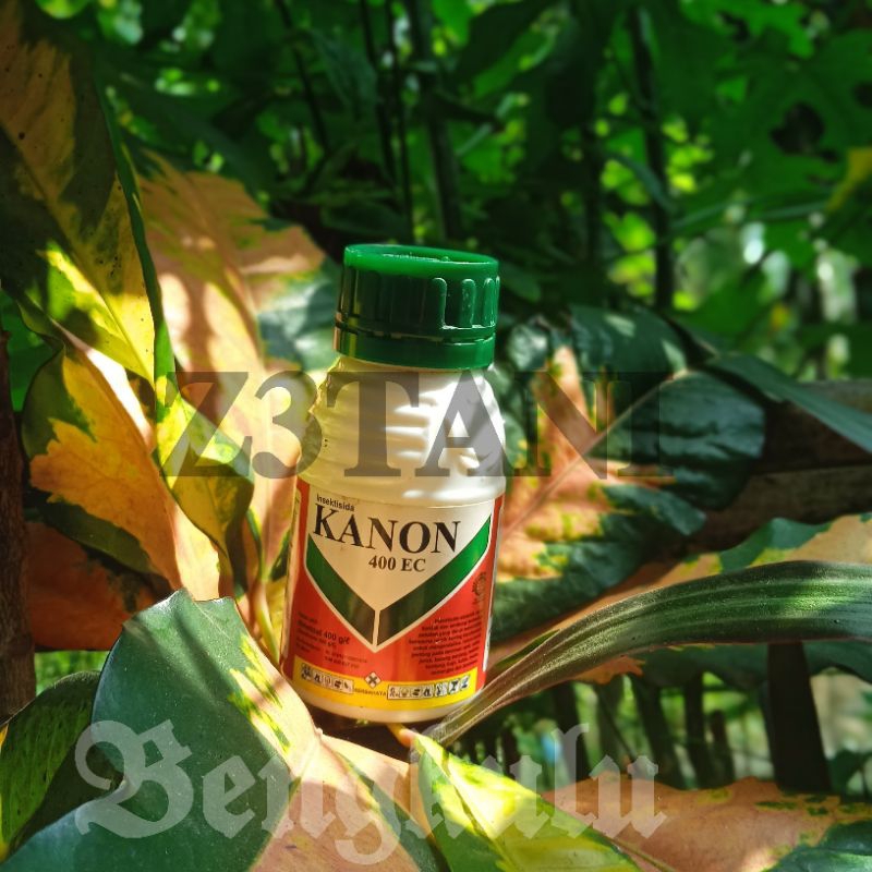 Insektisida KANON 400ec Bahan Aktif Dimetoat 400 g/L
