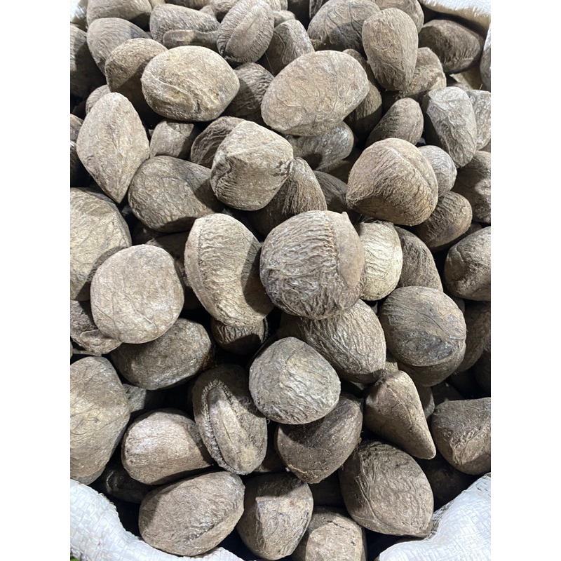 

kluwak Rawon / Pucung 250g