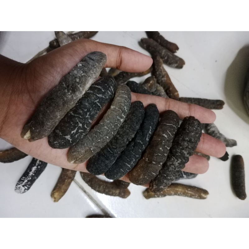 

thutsem/Teripang gosok/Haisom/Heisem isi 8-10