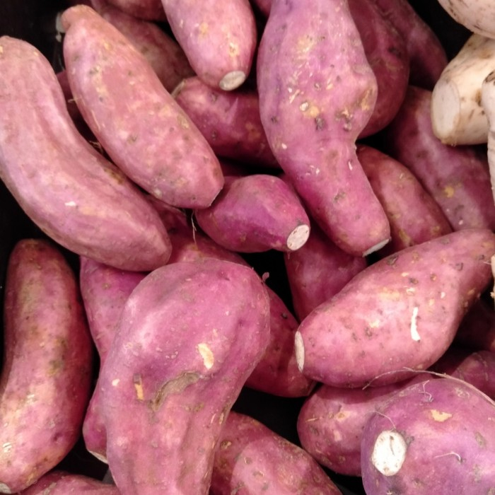 

ubi jepang 1kg