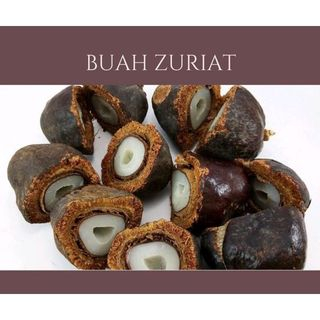 

COD 250 GRAM BUAH ZURIAT MADINAH UTUH BELAH BUAH ZURIAT ORIGINAL PROMIL GROSIR GUDANG BESAR KALIMANTAN