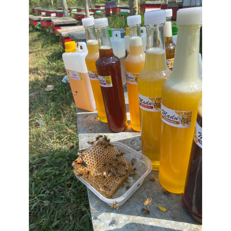 

Madu All Varian 460ml
