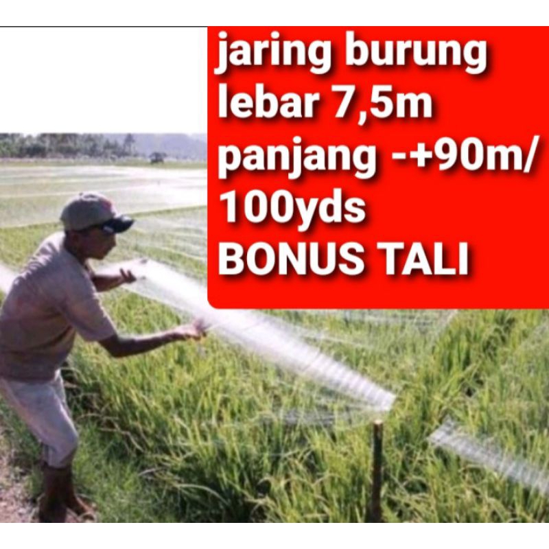 JARING BURUNG.JARING SAWAH.JARING EMPRIT
