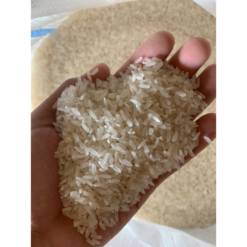 

Beras Super Slyp 10 Kg
