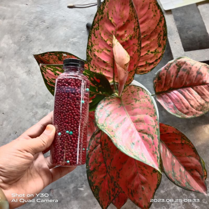 pupuk SR (slow reles)