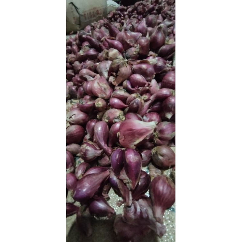 

Bawang Merah Brebes