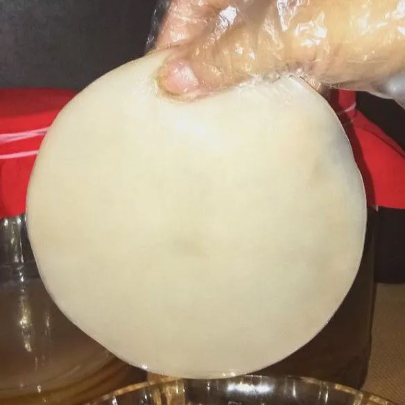 

Baby Scoby