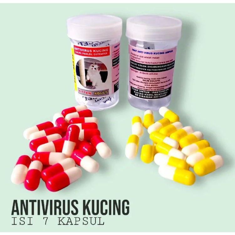Obat Virus Kapsul Ajaib Kucing Calici Panleukopenia Distemper Terampuh
