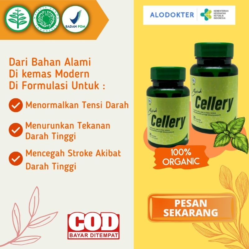 E Cellery Kapsul herbal obat darah tinggi/hipertensi cellery asli