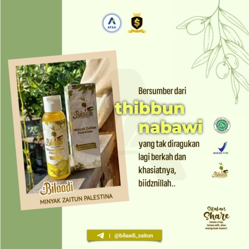 SALE Bilaadi minyak zaitun asli palestina,premium