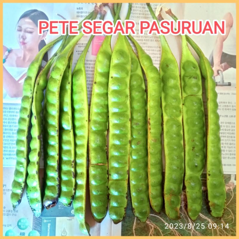 

pete segar 10 papan paket hemat (dapat 10 lonjor)