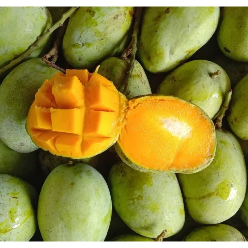 

Mangga indramayu 1 Kg Super