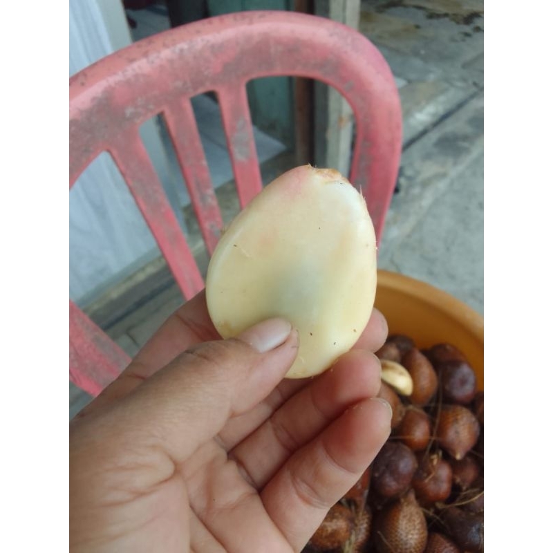 

salak manis