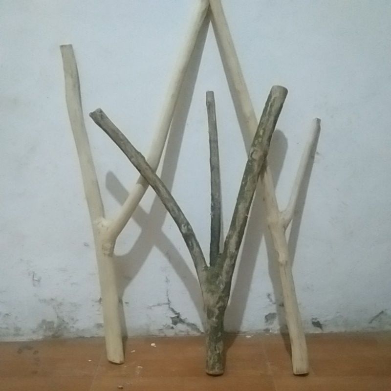 kayu kopi bercabang tangkringan burung