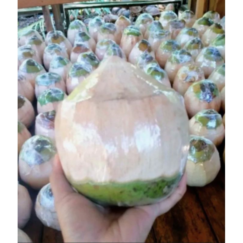 

KELAPA MUDA DUEGAN FRES DI KUPAS TERBARU