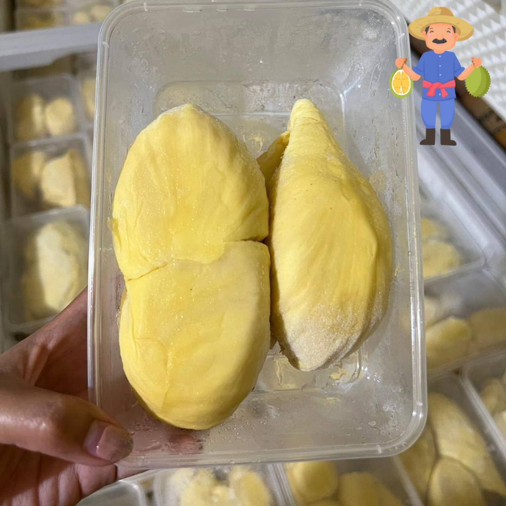 

Durian Montong Palu / Duren Kupas Monthong Palu