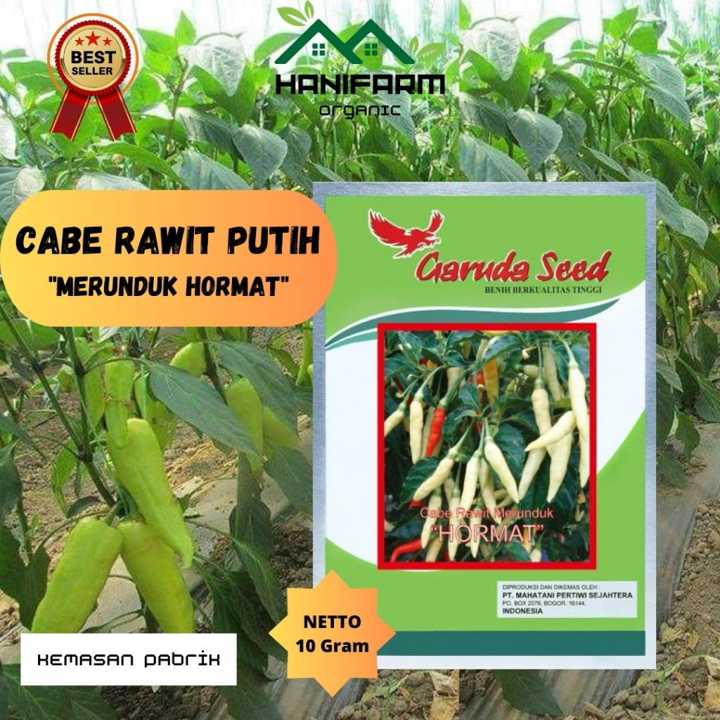Benih Cabe Rawit Merunduk Garuda seed 10 Gram