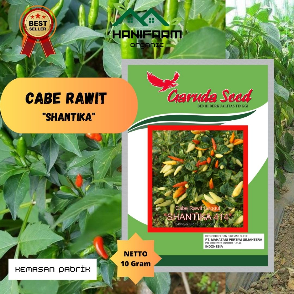 Benih Cabe Rawit Shantika Garuda seed 10 Gram