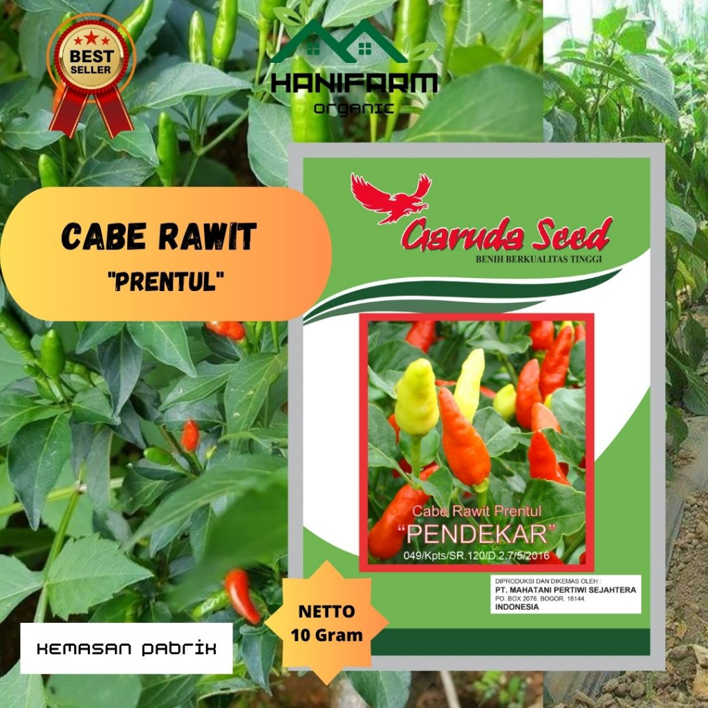 Benih Cabe Rawit Prentul Garuda seed 10 Gram