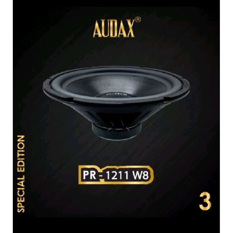speaker AUDAX 12 inch