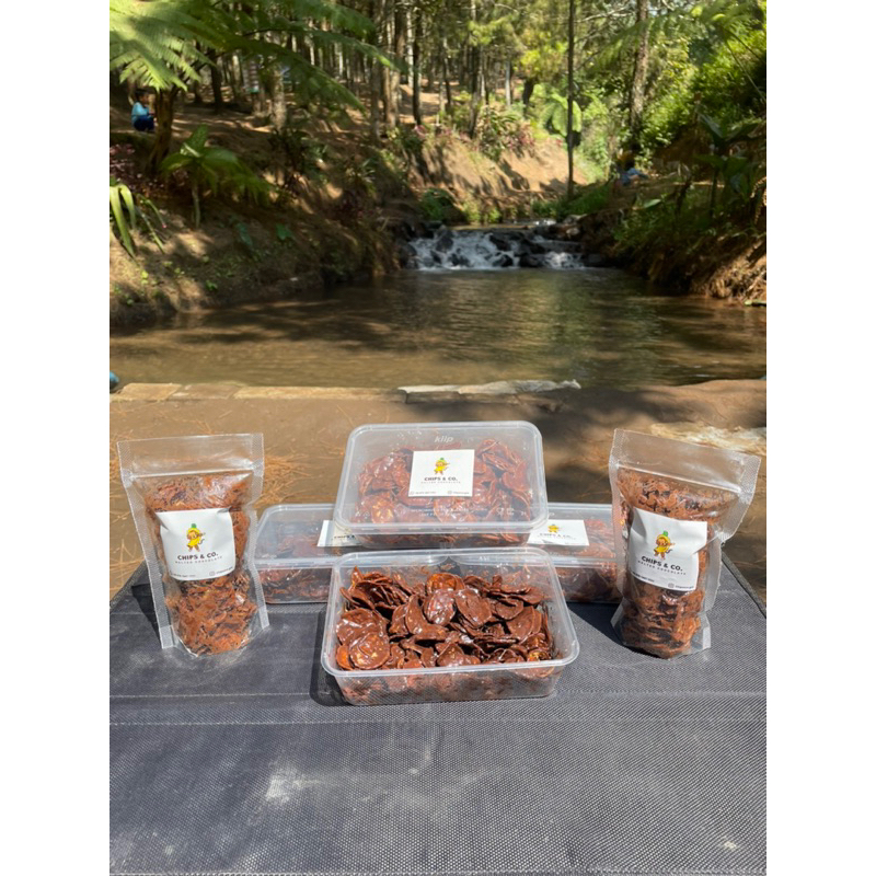 

KRIPIK PISANG COKLAT LUMERRR VARIAN CHOCO