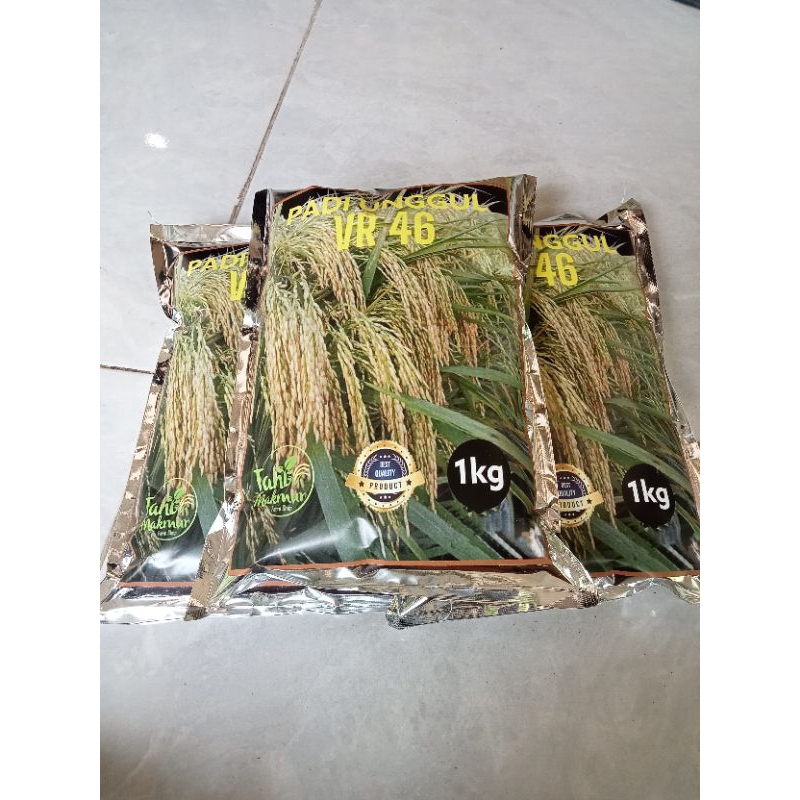 benih padi VR 46 veloz rice 46 1kg