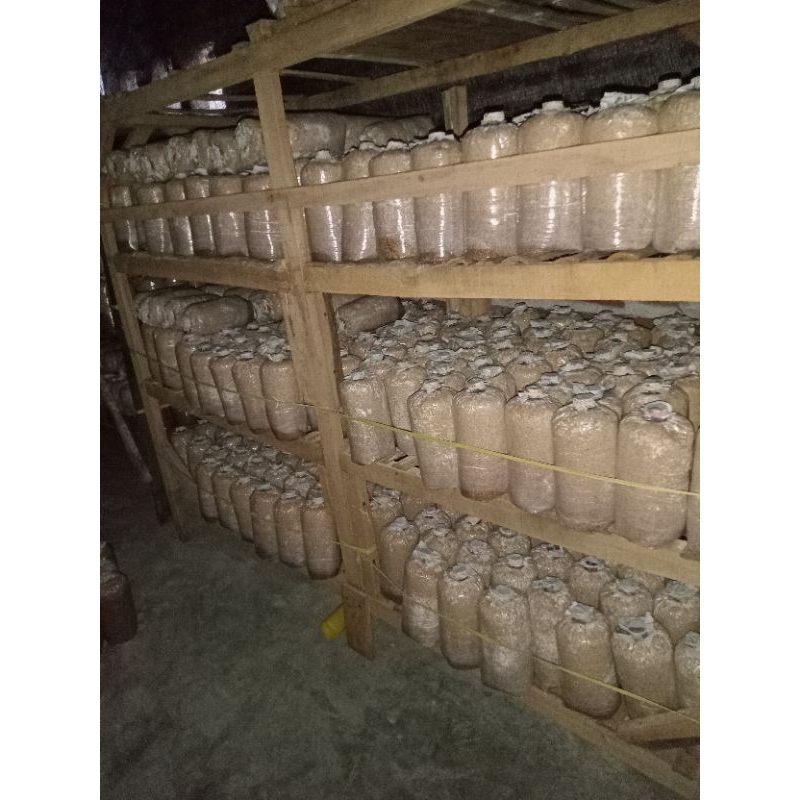 

Baglog Jamur Tiram Putih /Benih Jamur Tiram putih / bibit jamur tiram putih f3