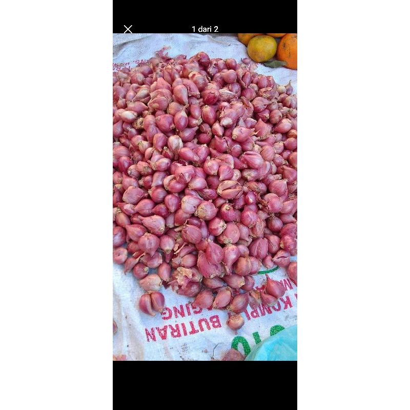 

bawang merah asli nganjuk