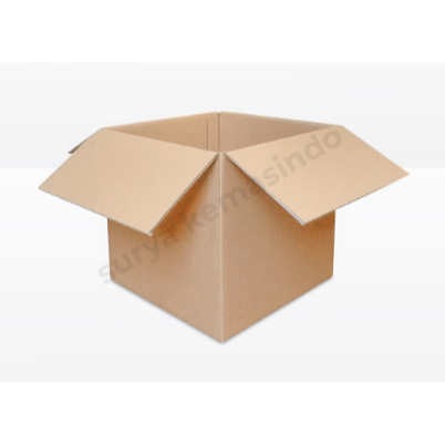 

KARDUS TAMBAHAN PACKING EXTRA