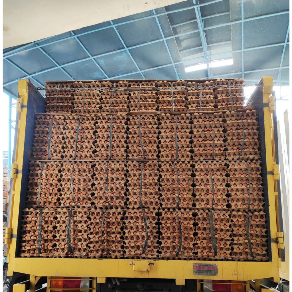 

IO Telur Ayam Negeri Jumbo Curah Per Kg