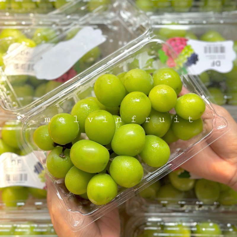

Anggur Shine muscat 500gr