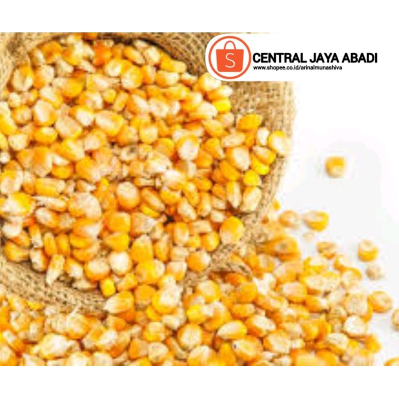

3 KG JAGUNG POPCORN KUALITAS SUPER HIGH QUALITY SUPER KINGPOP | CENTRAL JAYA ABADI 27