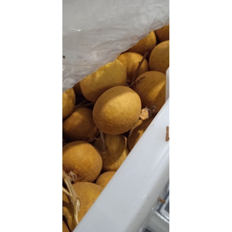 

Kelengkeng fresh manis kiloan.
