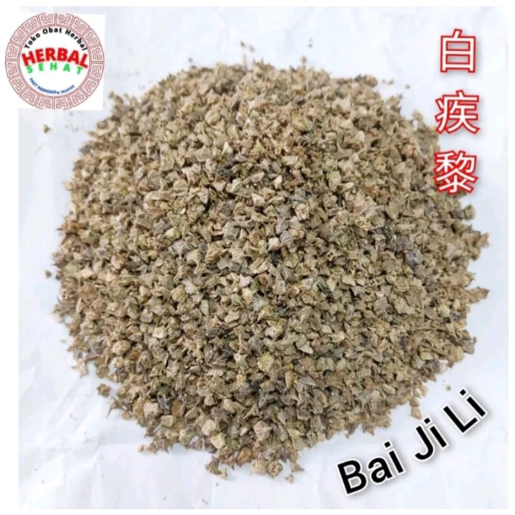 100gram Tribulus Fruit Bai Ji Li - Stamina Lelaki Testosterone Gairah