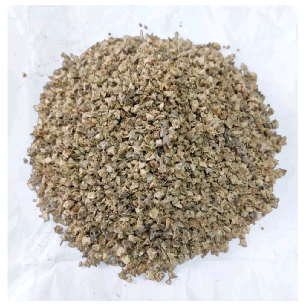 

TRIBULUS TERRESTRIS FRUIT / BAI JI LI / 100 GRAM