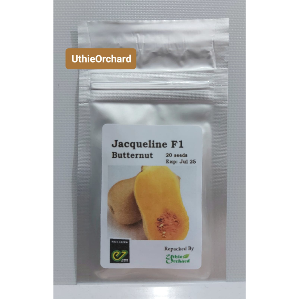 Benih Enza Zaden - Butternut (Labu Madu) Jacqueline F1 Kemasan Repack 20 Seeds