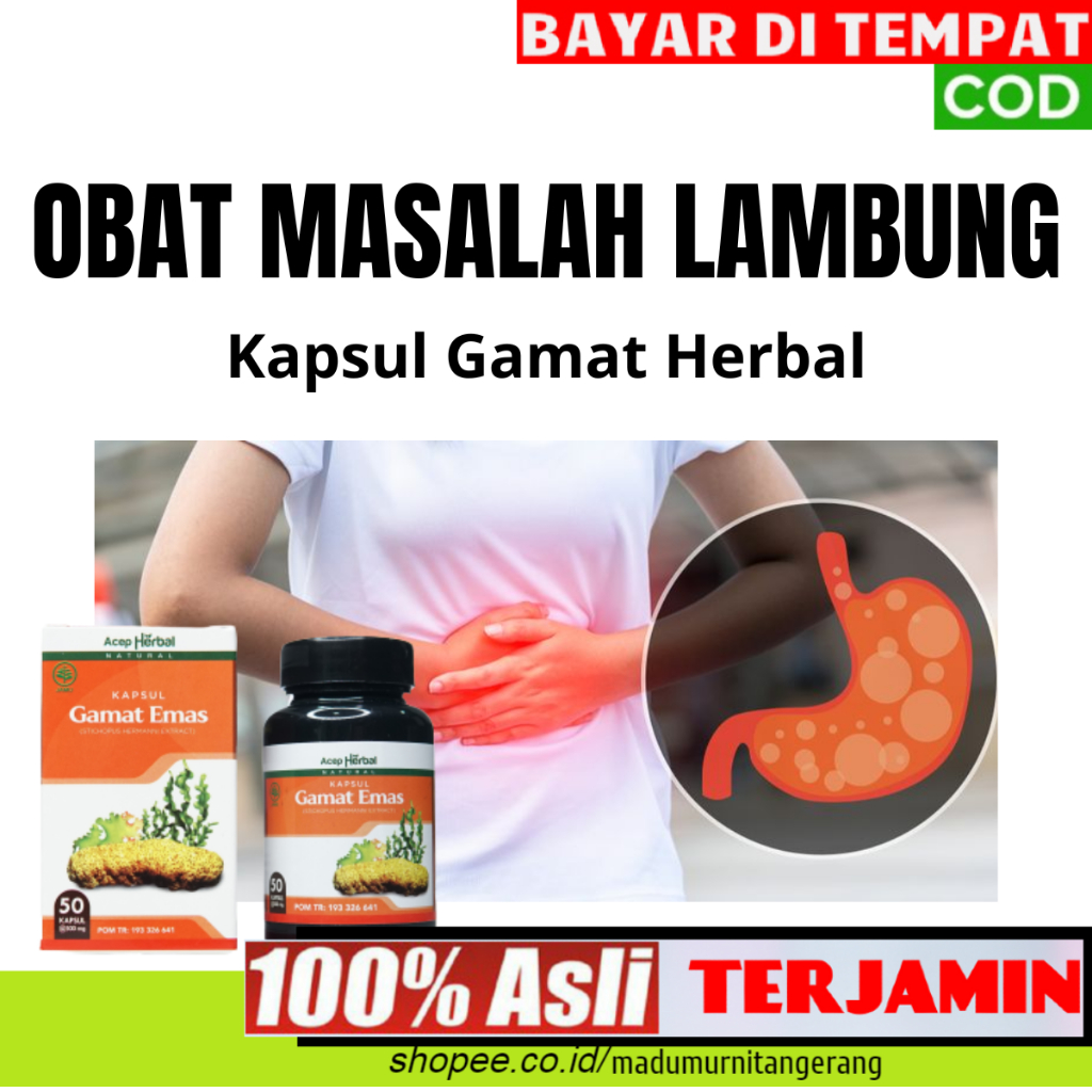 Obat Masalah Lambung Mag, Asam Lambung Naik, Mual Atau Perih Kapsul Herbal Gamat Emas Isi 50 Kapsul
