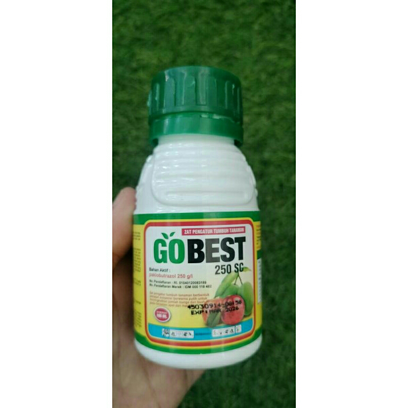 GOBEST 250SC_100ml / zat pengatur tumbuh /perangsang bunga dan buah