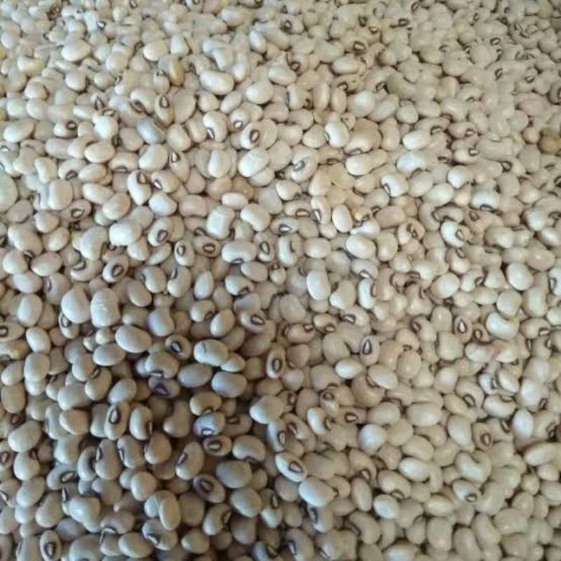 

Kacang Tolo,Kacang Kedelai 1000gr/1kg