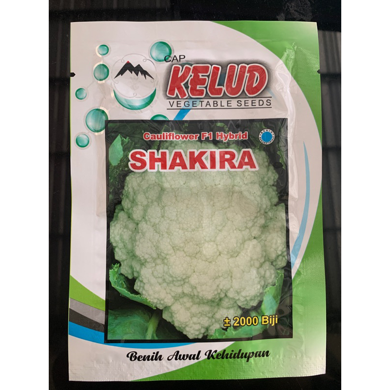 

Cauliflower F1 Hybrid SHAKIRA isi kemasan 2000biji cap kelud