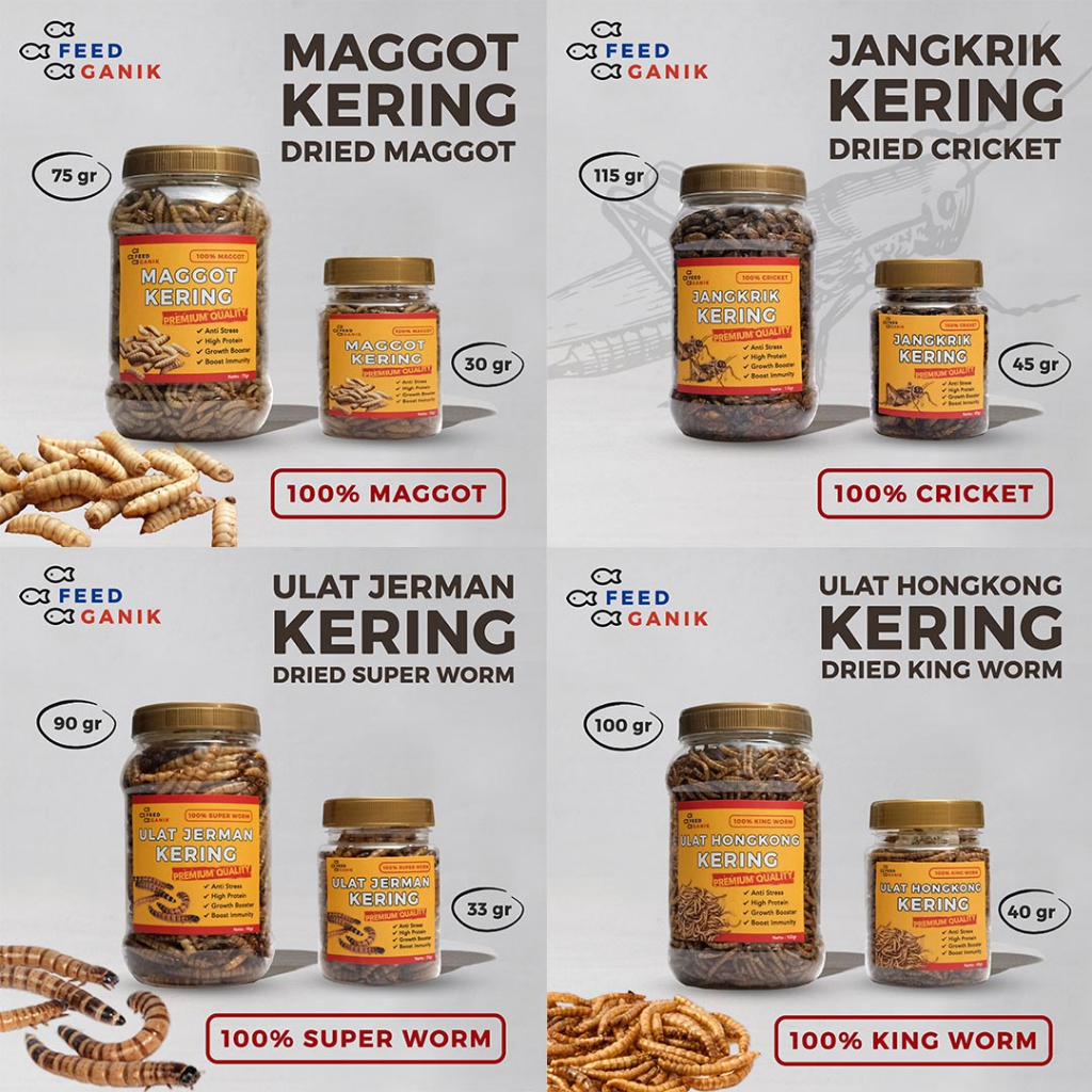 Maggot Magot Kering, Ulat Jerman, Ulat Hongkong, Jangkrik Kering Feedganik