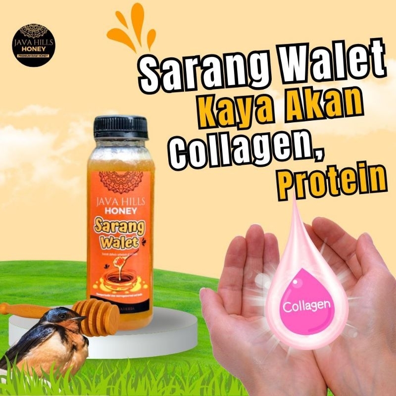 

Madu Sarang Walet Java Hills Honey Madu Herbal CV Mumtaz Java 330 gr