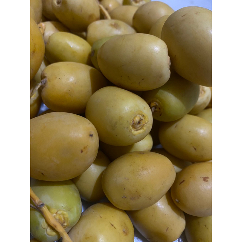 

(READY) Kurma Muda Barhe / Kurma Muda Ori Arab / Kurma Muda segar