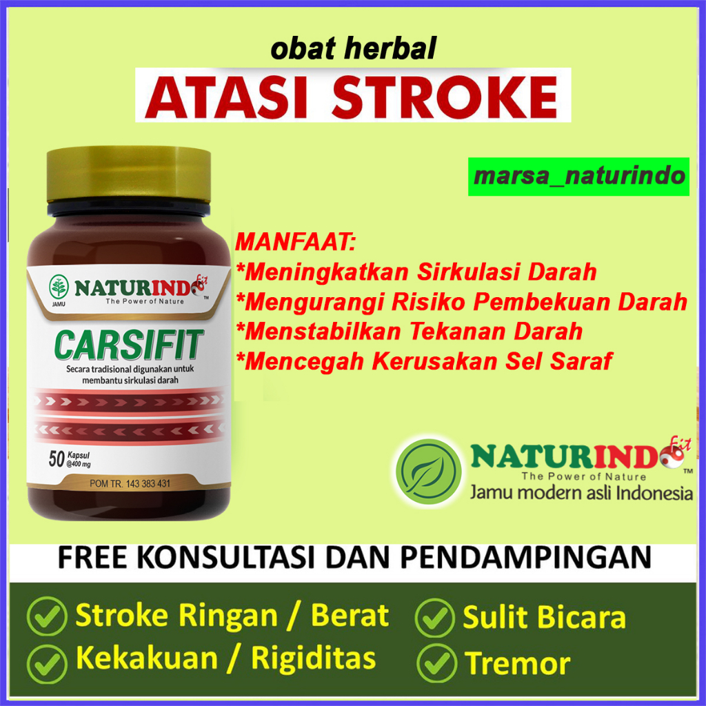 Obat Stroke Ringan Berat Mati Sebelah Gejala Struk Strok Herbal Carsifit.