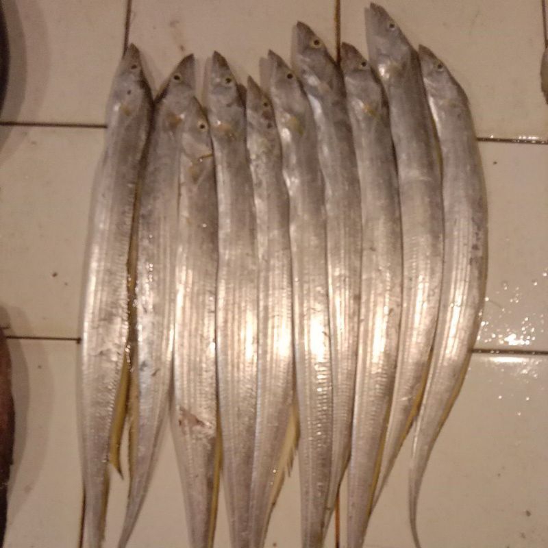 

ikan layur segar