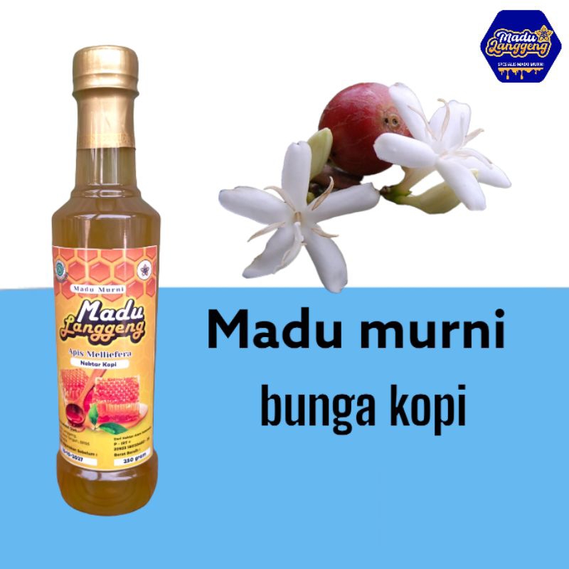 

MADU MURNI BUNGA KOPI 500 gram