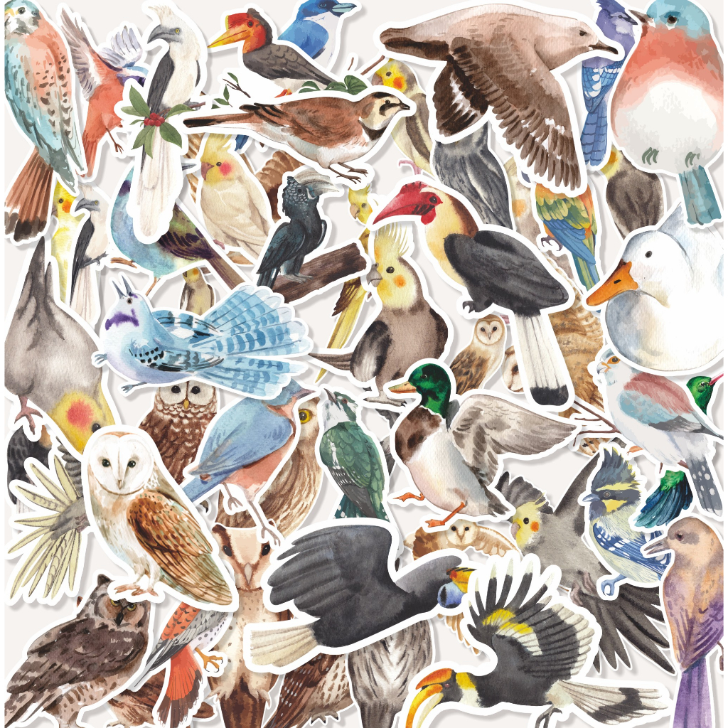 

(20 pcs) stiker Label murah stiker BIRD-watercolor/stiker kartun lucu/random/murah/stiker satuan/murah/random